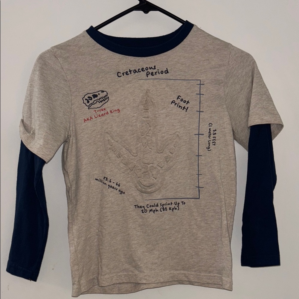 Garanimals Gray and Blue Long Sleeve Tee